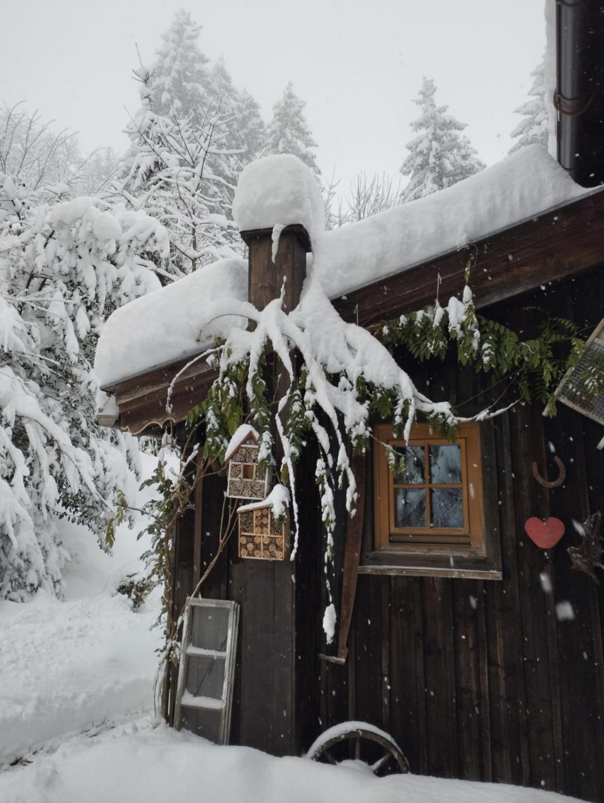 Binderhaeusl Villa Thiersee Eksteriør bilde